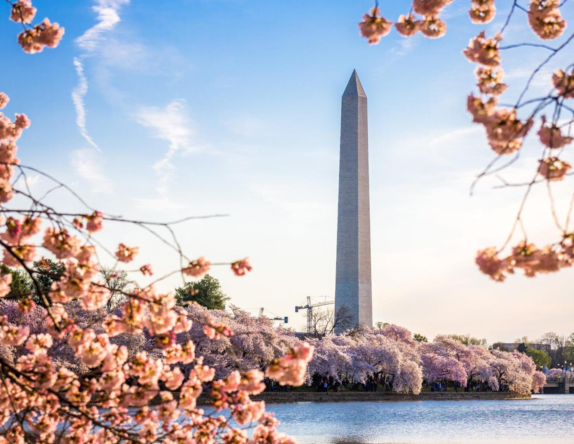 Staybridge Suites Washington D.C. - Greenbelt, an IHG Hotel Lanham Buitenkant foto